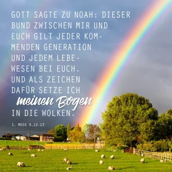 Schaukastenplakat - der Regenbogen ist Gottes Bogen