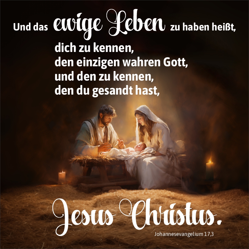 Schaukastenplakat - Das ewige Leben in Jesus Christus